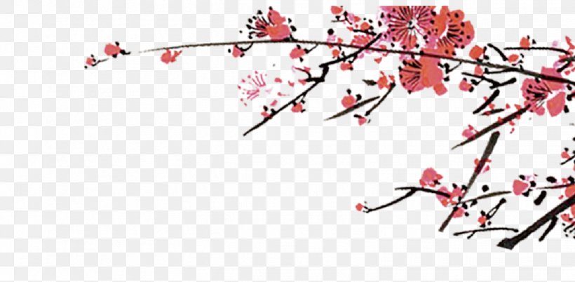 Plum Blossom Download, PNG, 1556x763px, Plum Blossom, Blossom, Branch, Cherry Blossom, Floral Design Download Free