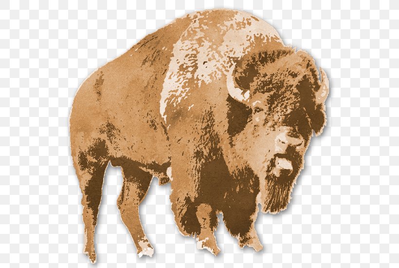 Bison Terrestrial Animal Snout, PNG, 566x550px, Bison, Animal, Animal Figure, Bovine, Brown Download Free