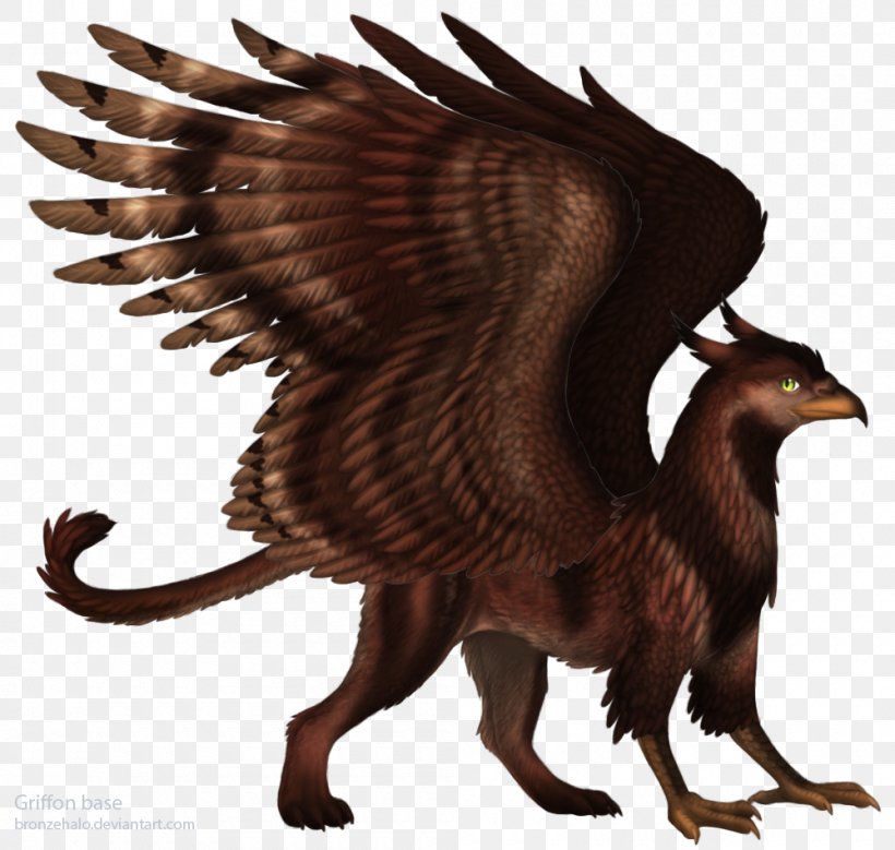 Griffin Eagle Fantasy Dragon Legendary Creature, PNG, 1000x950px, Griffin, Art, Beak, Bestiary, Bird Download Free