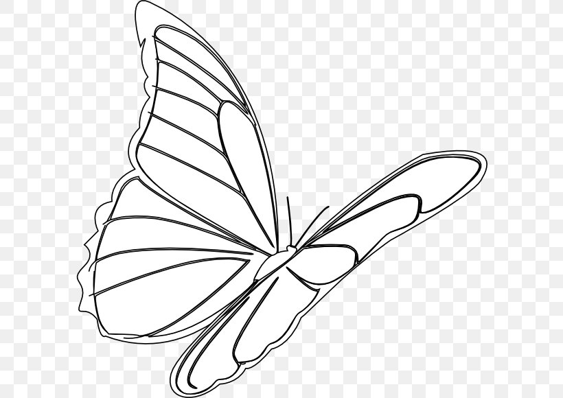 Monarch Butterfly Drawing Flight Clip Art, PNG, 600x580px, Butterfly, Art, Artwork, Black And White, Brush Footed Butterfly Download Free
