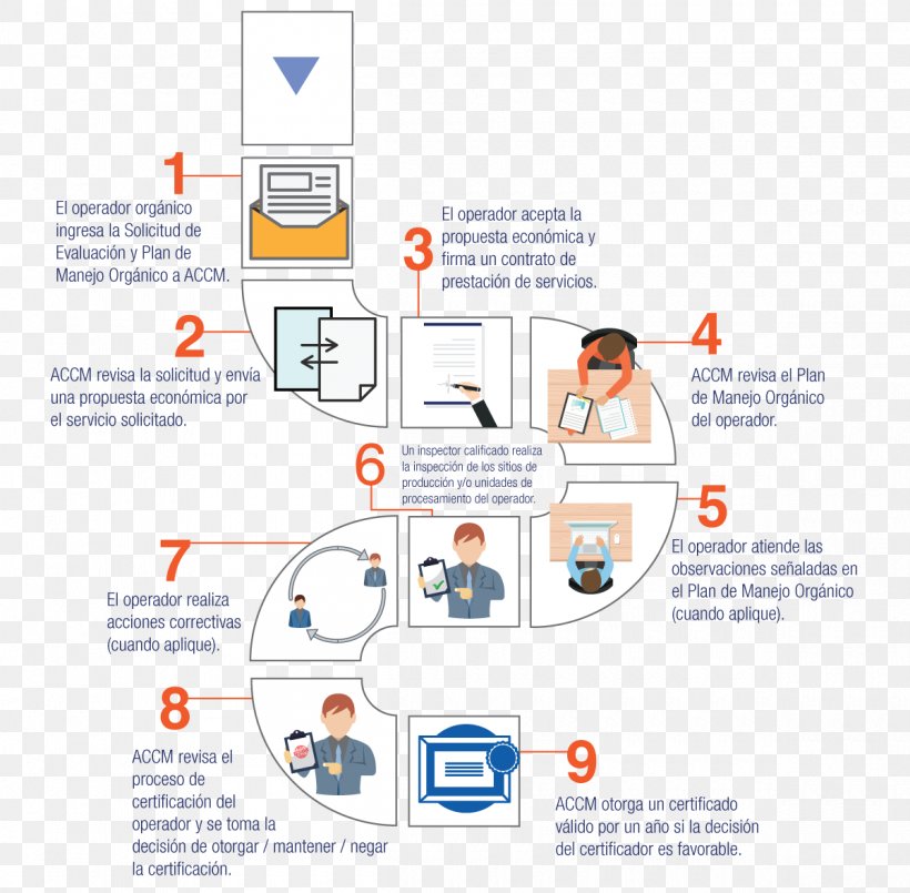 Organization Quality Management System ISO 9001 ISO 9000, PNG, 1200x1179px, Organization, Area, Brand, Certification, Communication Download Free