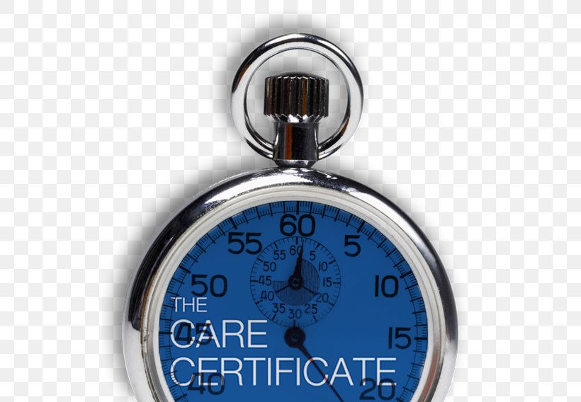 Product Design European Care Certificate Brand, PNG, 531x568px, European Care Certificate, Academic Certificate, Brand, Gauge, Measuring Instrument Download Free