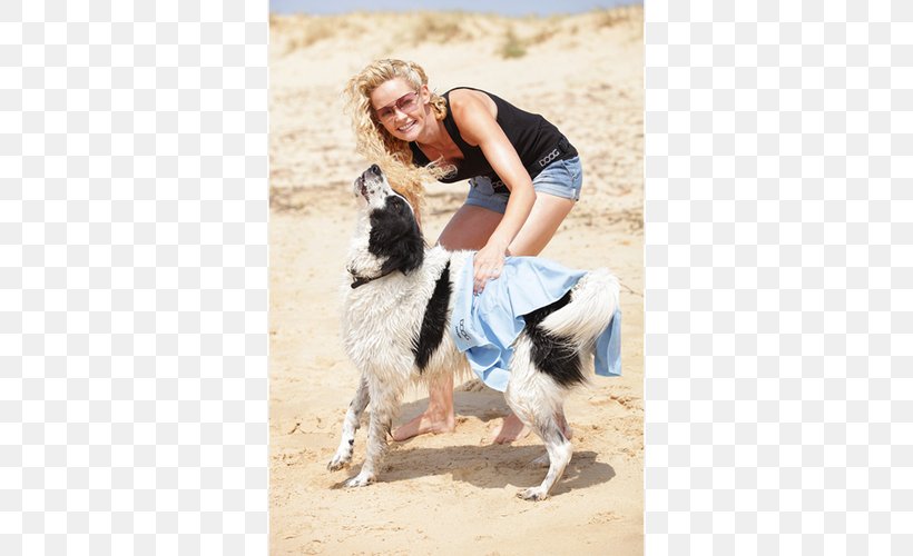 Towel Dog Breed Border Collie Stabyhoun Chamois Leather, PNG, 500x500px, Towel, Bathroom, Blanket, Border Collie, Chamois Leather Download Free