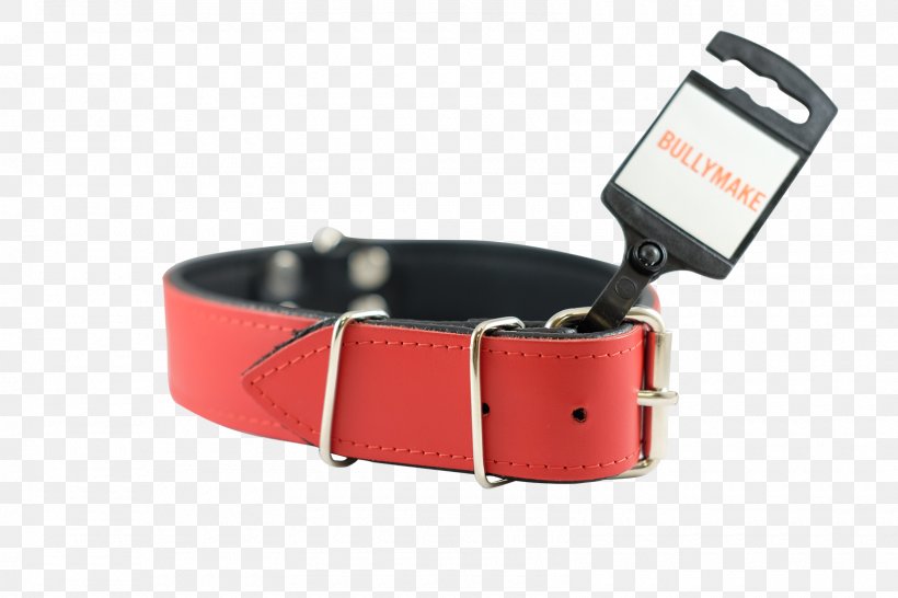 Watch Strap Dog Collar, PNG, 1600x1067px, Strap, Clothing Accessories, Collar, Design M, Dog Download Free