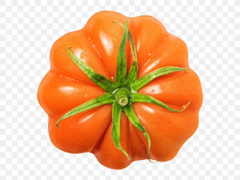Plum Tomato Bell Pepper Habanero Tomato Sauce, PNG, 866x650px, Plum Tomato, Bell Pepper, Bell Peppers And Chili Peppers, Bush Tomato, Chili Pepper Download Free