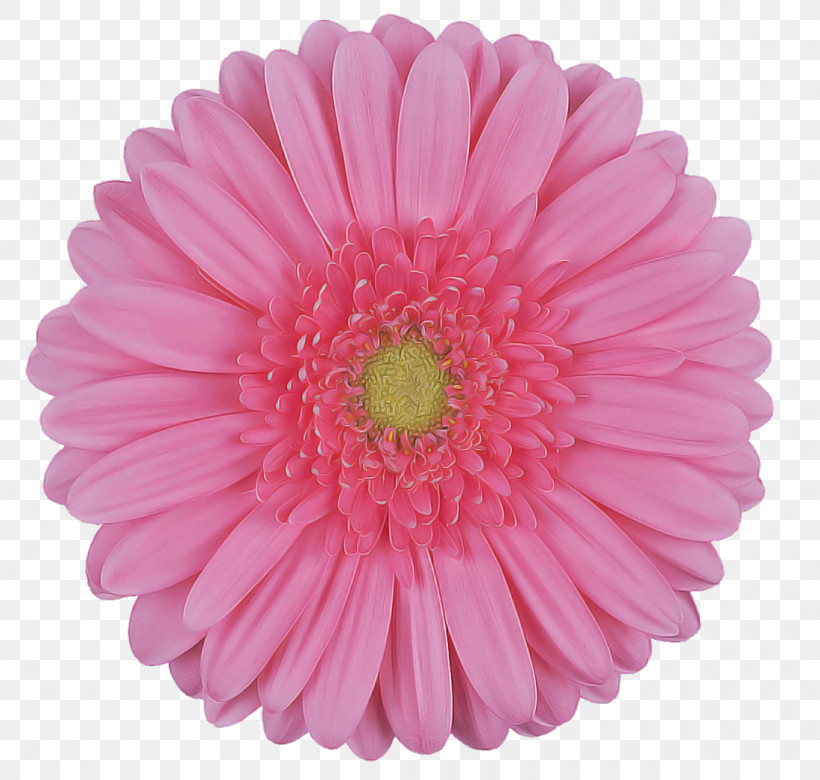 Artificial Flower, PNG, 1100x1047px, Barberton Daisy, Artificial Flower, Aster, China Aster, Cut Flowers Download Free