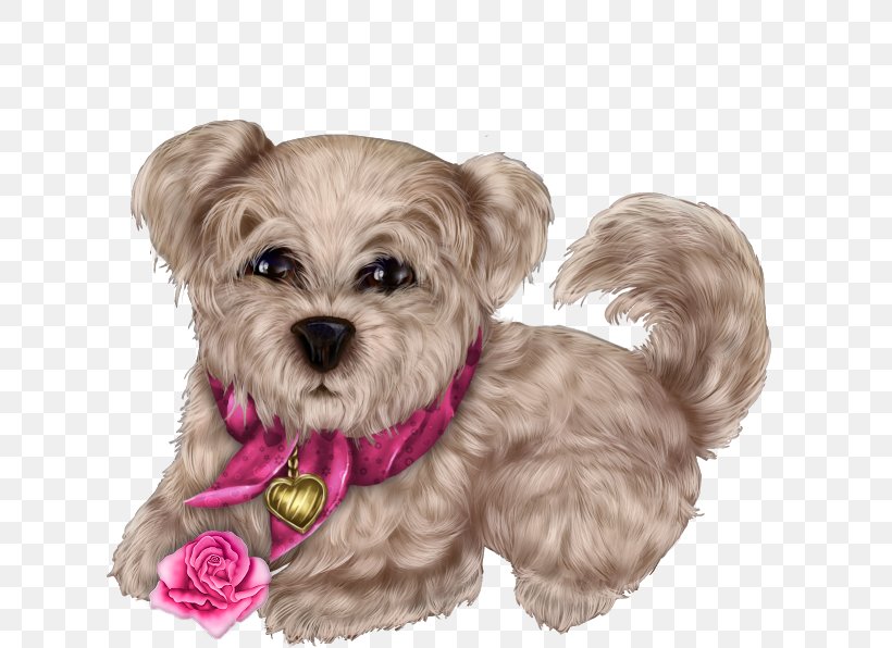 Morkie Mood Blogger Puppy, PNG, 625x596px, Morkie, Blog, Blogger, Carnivoran, Companion Dog Download Free