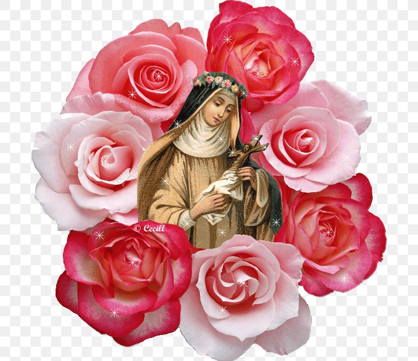 Rose Calendar Of Saints Santa Rosa Catholicism, PNG, 708x708px, Rose, Artificial Flower, Calendar Of Saints, Catholicism, Cut Flowers Download Free