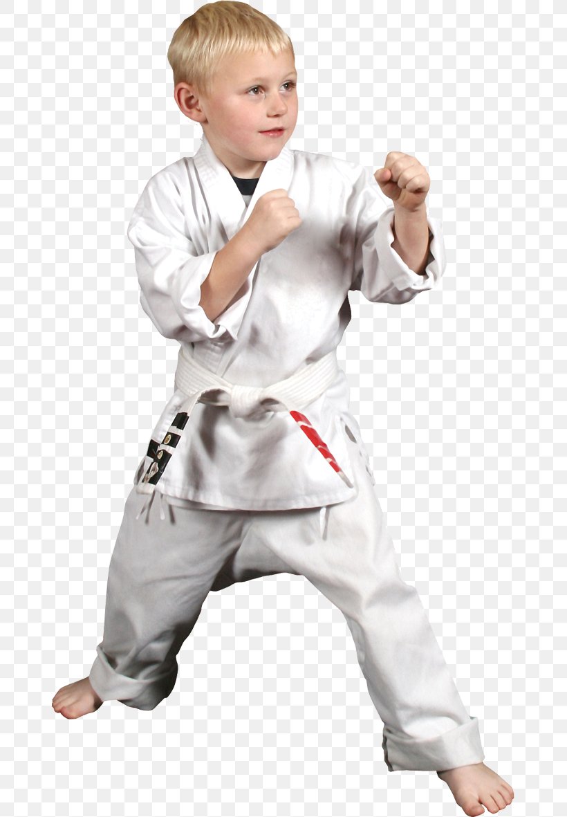 The Karate Kid Dobok Martial Arts Child, PNG, 669x1181px, Karate, Boy, Child, Clothing, Costume Download Free