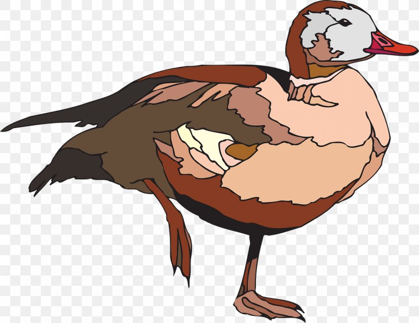 Duck Goose Bird Cygnini Clip Art, PNG, 1280x989px, Duck, Beak, Bird, Chicken, Cygnini Download Free