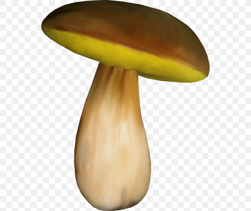 Edible Mushroom Fungus, PNG, 551x690px, Edible Mushroom, Fungus, Mushroom, Table Download Free