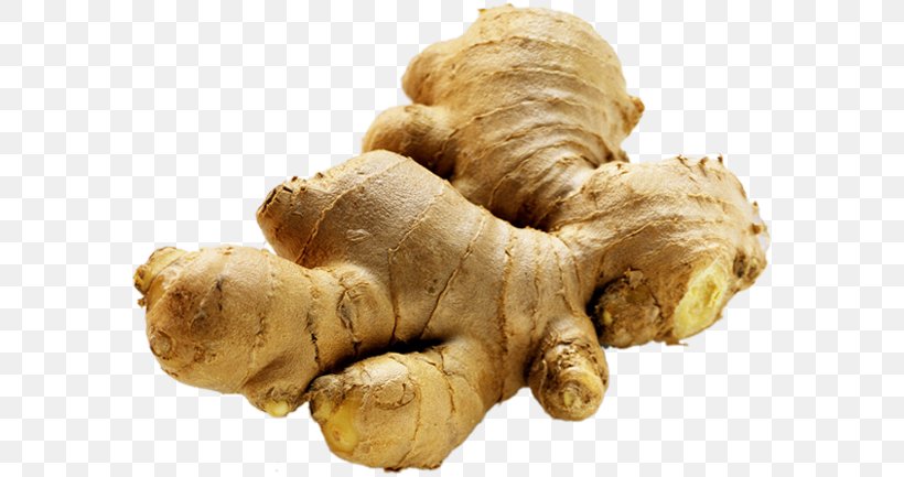 Ginger Tea Extract Vegetable Root, PNG, 585x433px, Ginger, Essential Oil, Extract, Food, Food Drying Download Free