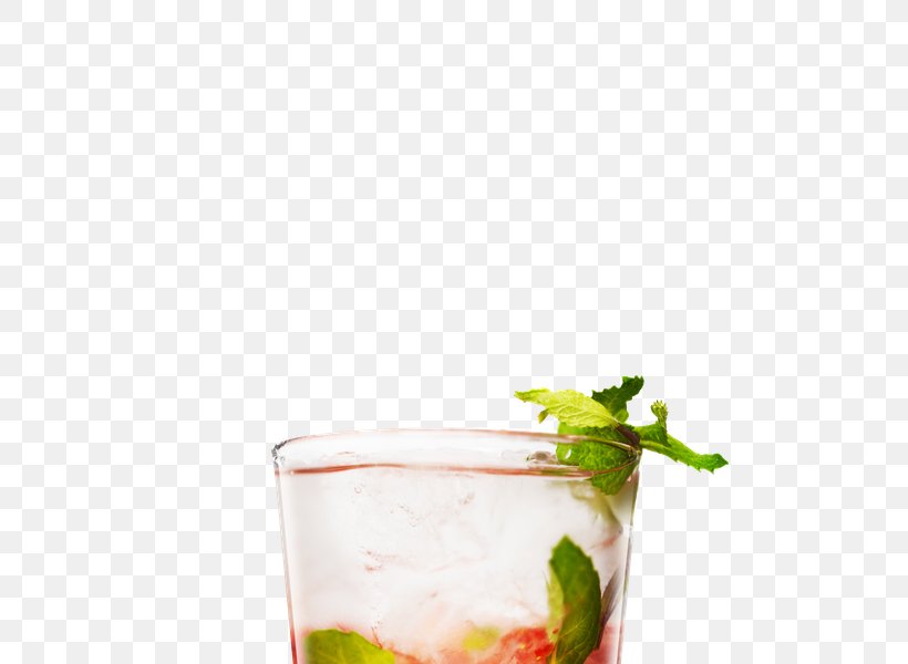 Mojito Cocktail Garnish Bacardi Cocktail Juice, PNG, 600x600px, Mojito, Absolut Vodka, Alcoholic Drink, Bacardi Cocktail, Cocktail Download Free