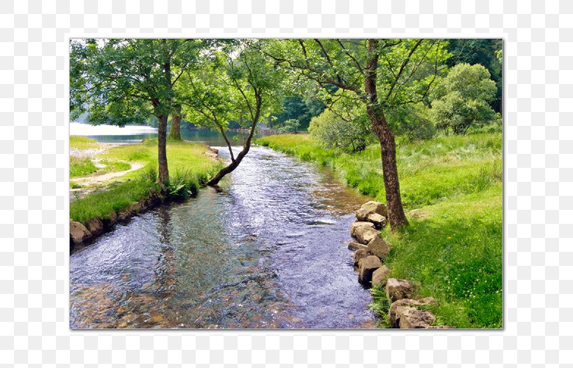 River Tributary Riparian Zone View Of A Stream Clip Art, PNG, 635x526px, River, Art, Bank, Bayou, Canal Download Free