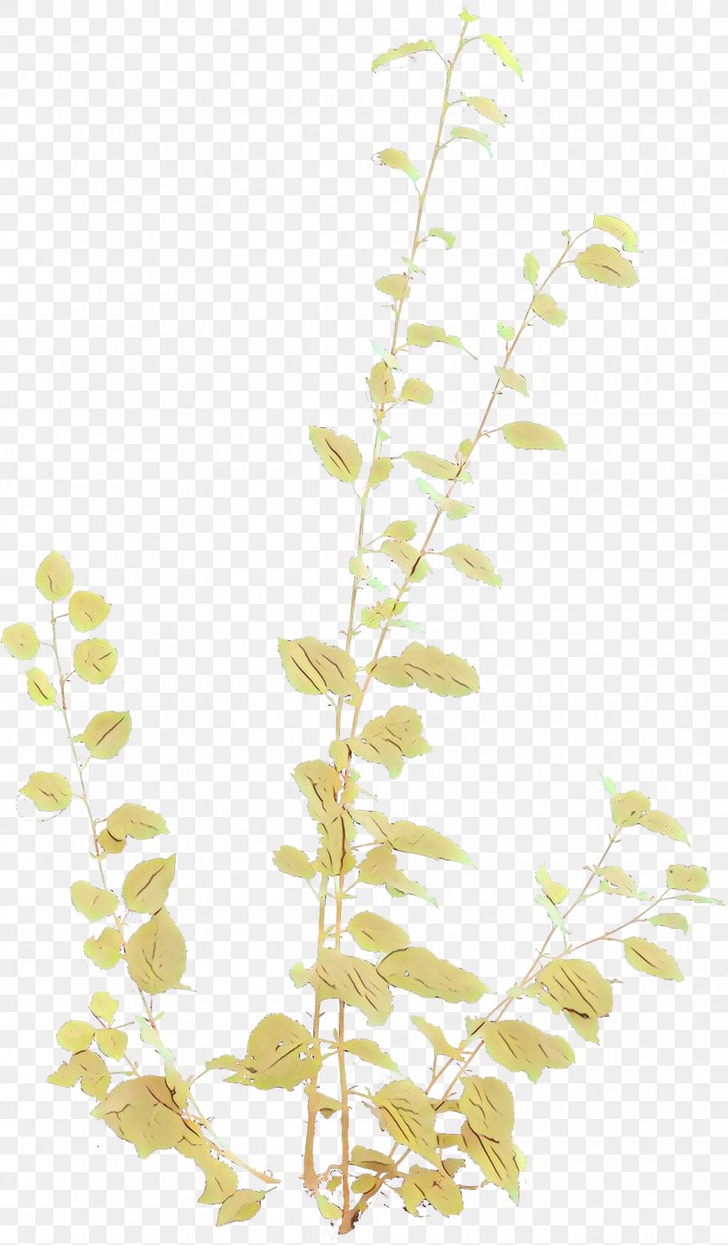 Twig Plant Stem Leaf Product Plants, PNG, 1916x3276px, Twig, Botany, Branch, Flower, Flowering Plant Download Free