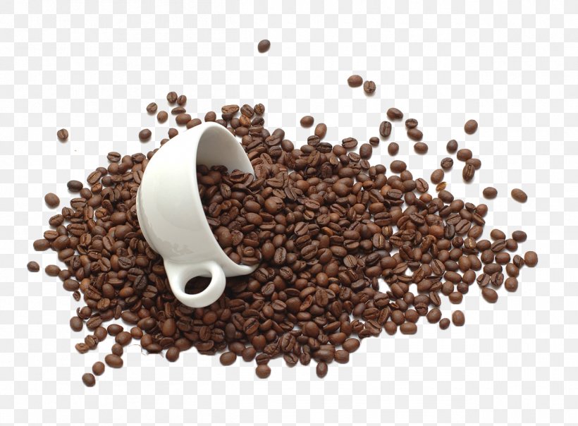 Coffee Bean Tea Sugar Food, PNG, 1258x928px, Coffee, Bote, Bottle, Caffeine, Coffee Bean Download Free