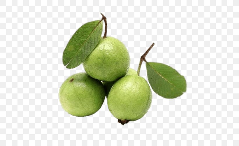 Guava Organic Food Vegetable Vegetarian Cuisine Fruit, PNG, 500x500px, Guava, Breakfast Cereal, Citrus, Common Guava, Dairy Products Download Free