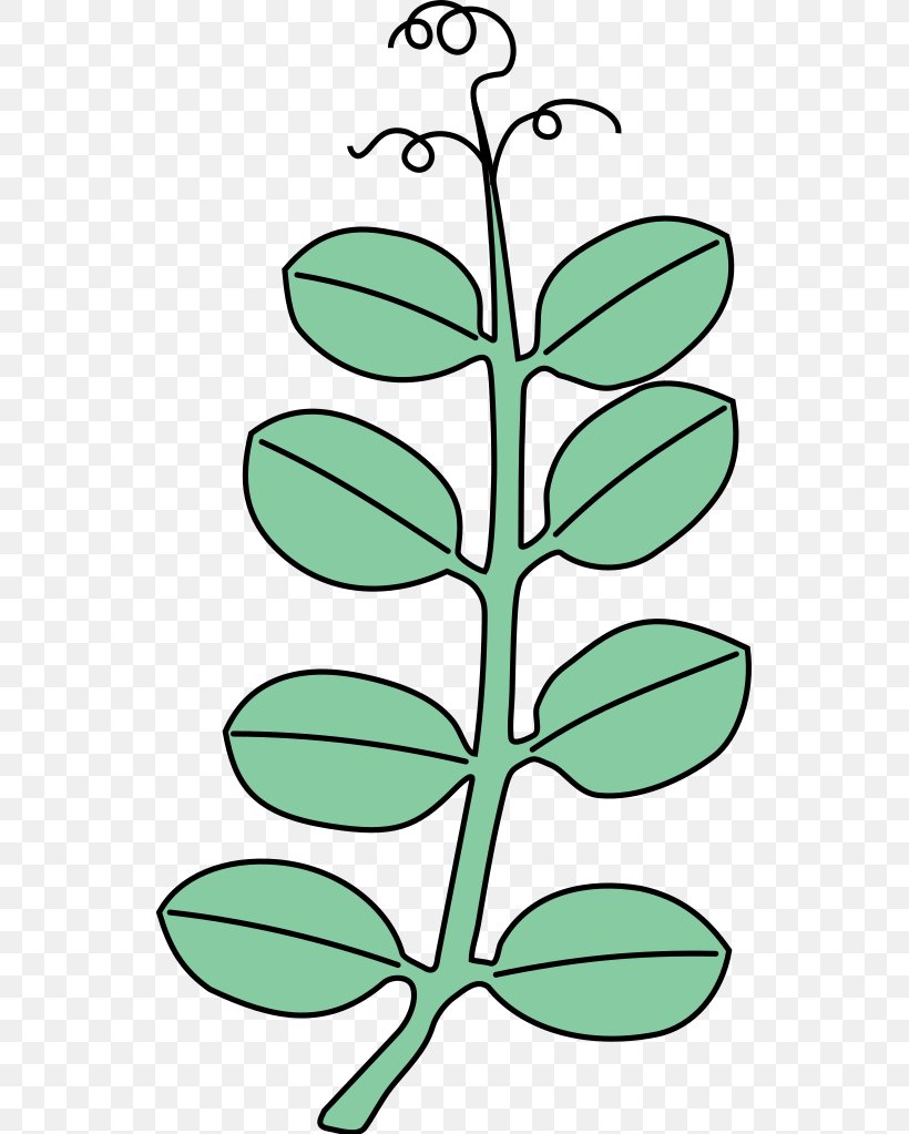 Leaf Plant Stem Line Art Flower Clip Art, PNG, 537x1023px, Leaf, Artwork, Black And White, Branch, Flora Download Free