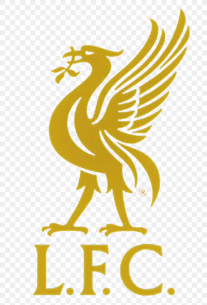 Liverpool F.C. Anfield Liverpool L.F.C. Football T-shirt, PNG, 991x1460px, Liverpool Fc, Anfield, Beak, Bird, Coach Download Free