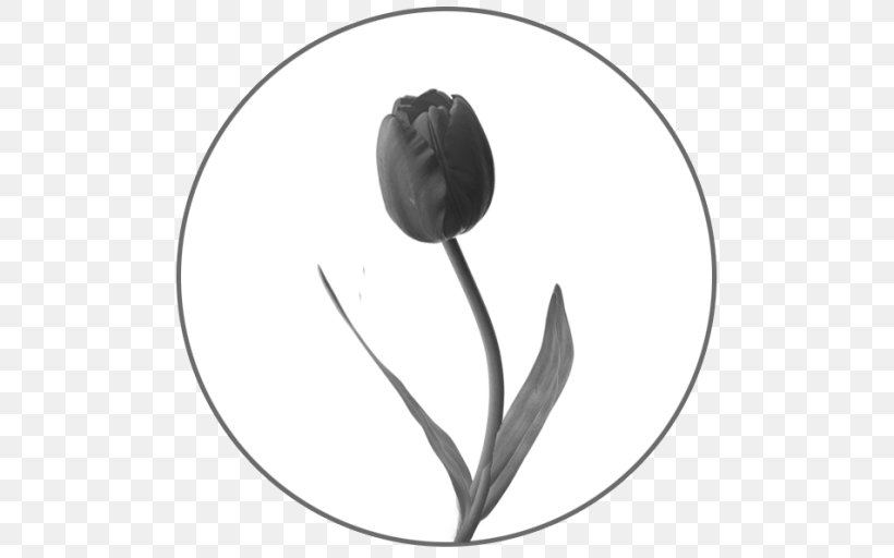 Black And White Monochrome Photography Flower, PNG, 512x512px, Black And White, Black, Colegio De San Juan De Letran, College, Flora Download Free