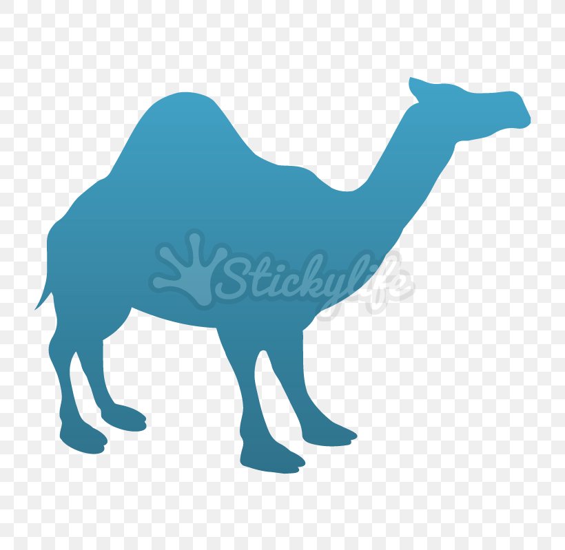 Dromedary Wall Decal Bumper Sticker, PNG, 799x799px, Dromedary, Abziehtattoo, Arabian Camel, Bumper Sticker, Camel Download Free