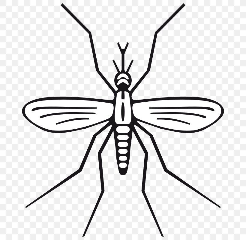 Mosquito Black And White Clip Art, PNG, 800x800px, Mosquito, Arthropod, Artwork, Black And White, Bug Zapper Download Free