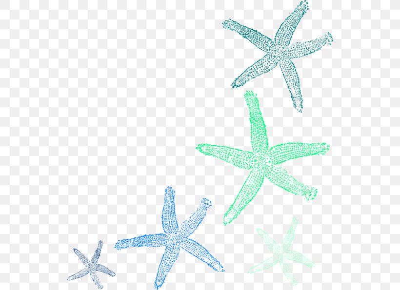 Starfish Clip Art, PNG, 546x595px, Starfish, Aqua, Art, Echinoderm, Fish Download Free