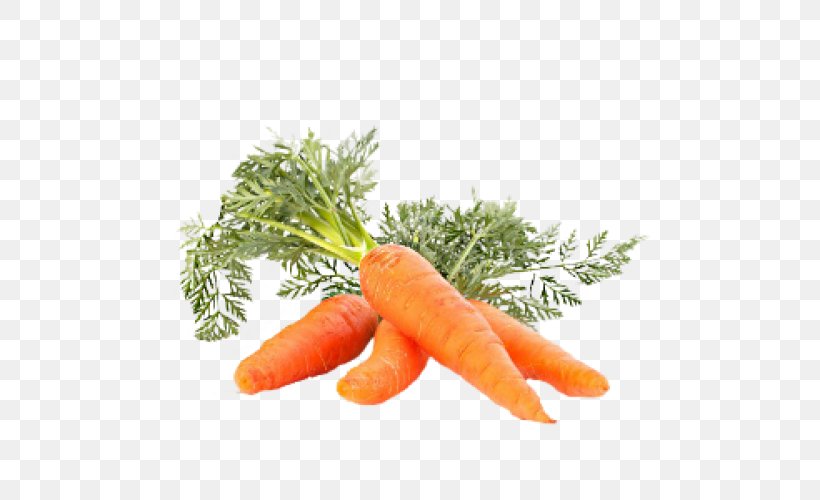 Carrot Juice Carrot Juice Eating Vegetable, PNG, 500x500px, Carrot, Baby Carrot, Carotene, Carrot Juice, Daucus Carota Download Free