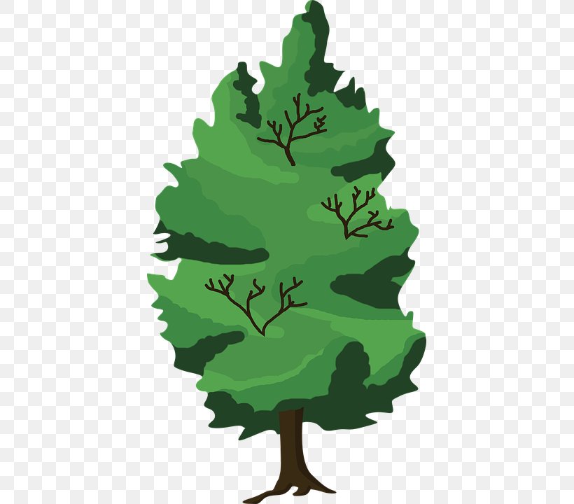 Clip Art Drawing Tree Forest Vector Graphics, PNG, 399x720px, Drawing, Cartoon, Conifer, Flora, Flowering Plant Download Free