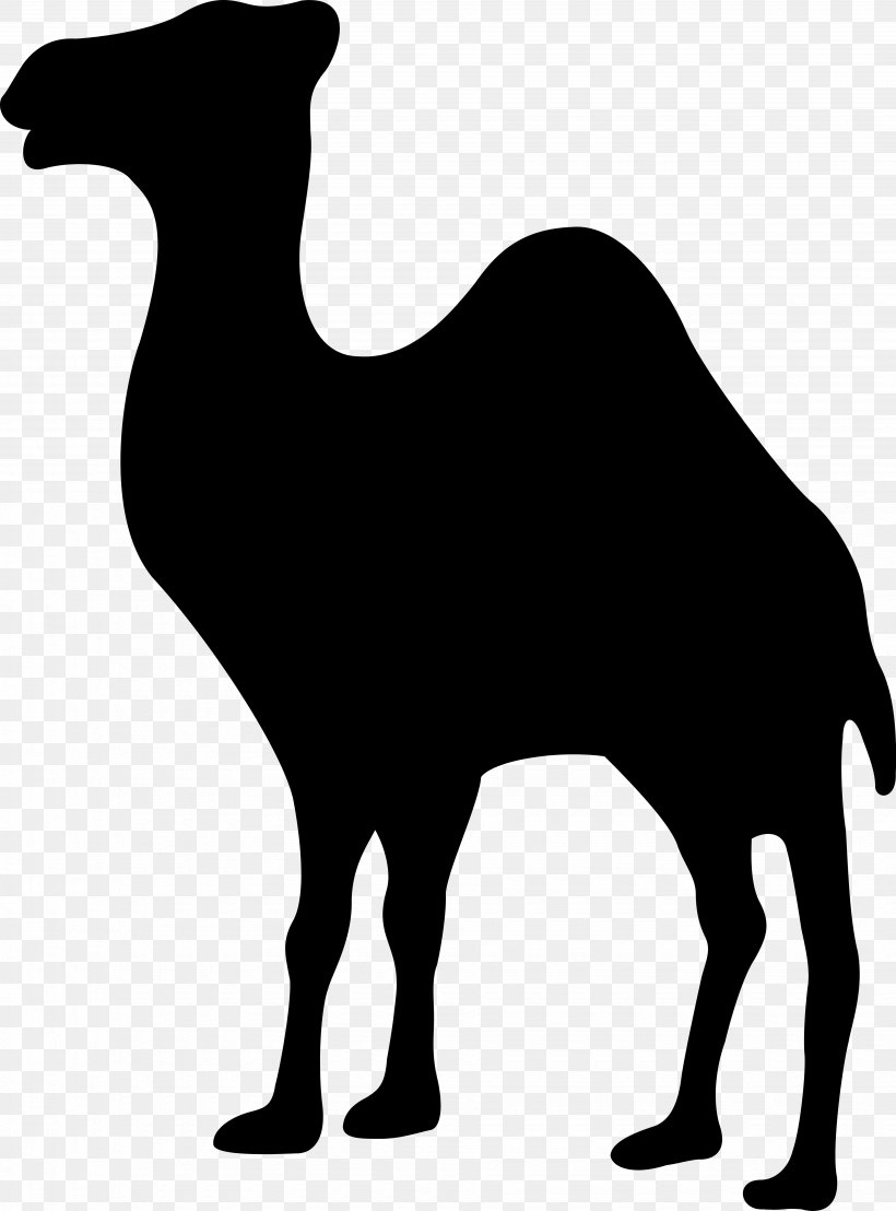 Dromedary Camel Logo, PNG, 3700x5000px, Dromedary, Bildmarke, Black, Black And White, Brand Download Free