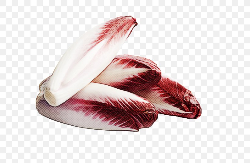 Feather, PNG, 800x533px, Feather, Bird, Pelican, Pink, Swan Download Free