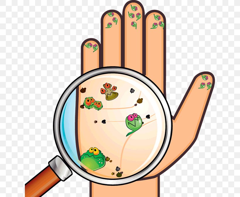 Hand Hygiene Washing Bacteria, PNG, 650x673px, Hand, Area, Bacteria, Germ Theory Of Disease, Health Download Free