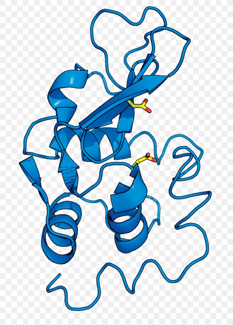 Lysozyme Structure Enzyme Science X-ray Crystallography, PNG, 960x1337px, Lysozyme, Area, Art, Artwork, Basic Research Download Free