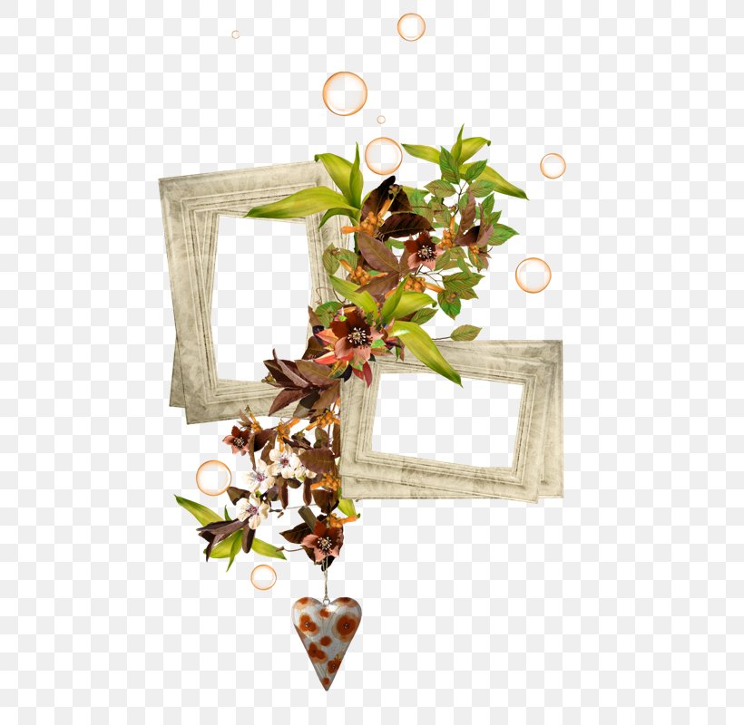 Picture Frames Clip Art, PNG, 480x800px, Picture Frames, Branch, Christmas Ornament, Computer, Film Frame Download Free