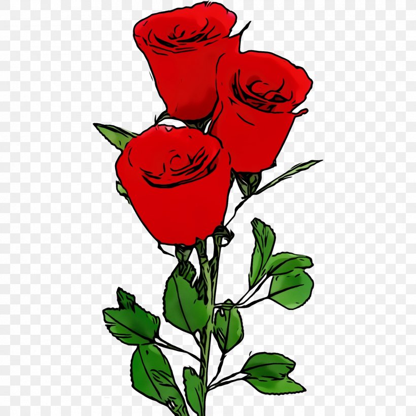 Garden Roses, PNG, 1800x1801px, Watercolor, Cut Flowers, Floribunda, Flower, Flowering Plant Download Free