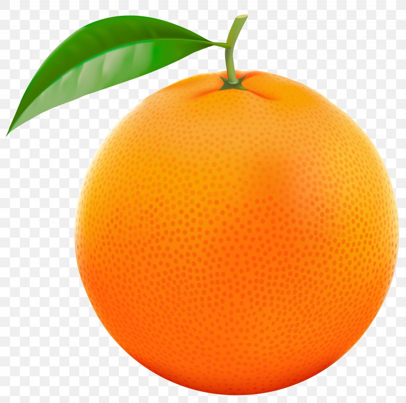 Grapefruit Orange Lemon Clip Art, PNG, 3200x3180px, Tangerine, Bitter Orange, Citric Acid, Citrus, Clementine Download Free