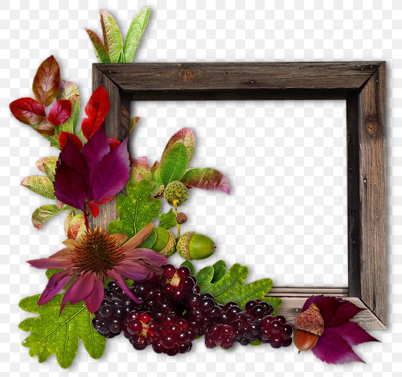 Idea Picture Frames Clip Art, PNG, 800x770px, Idea, Bulletin Board, Flower, Food, Fruit Download Free