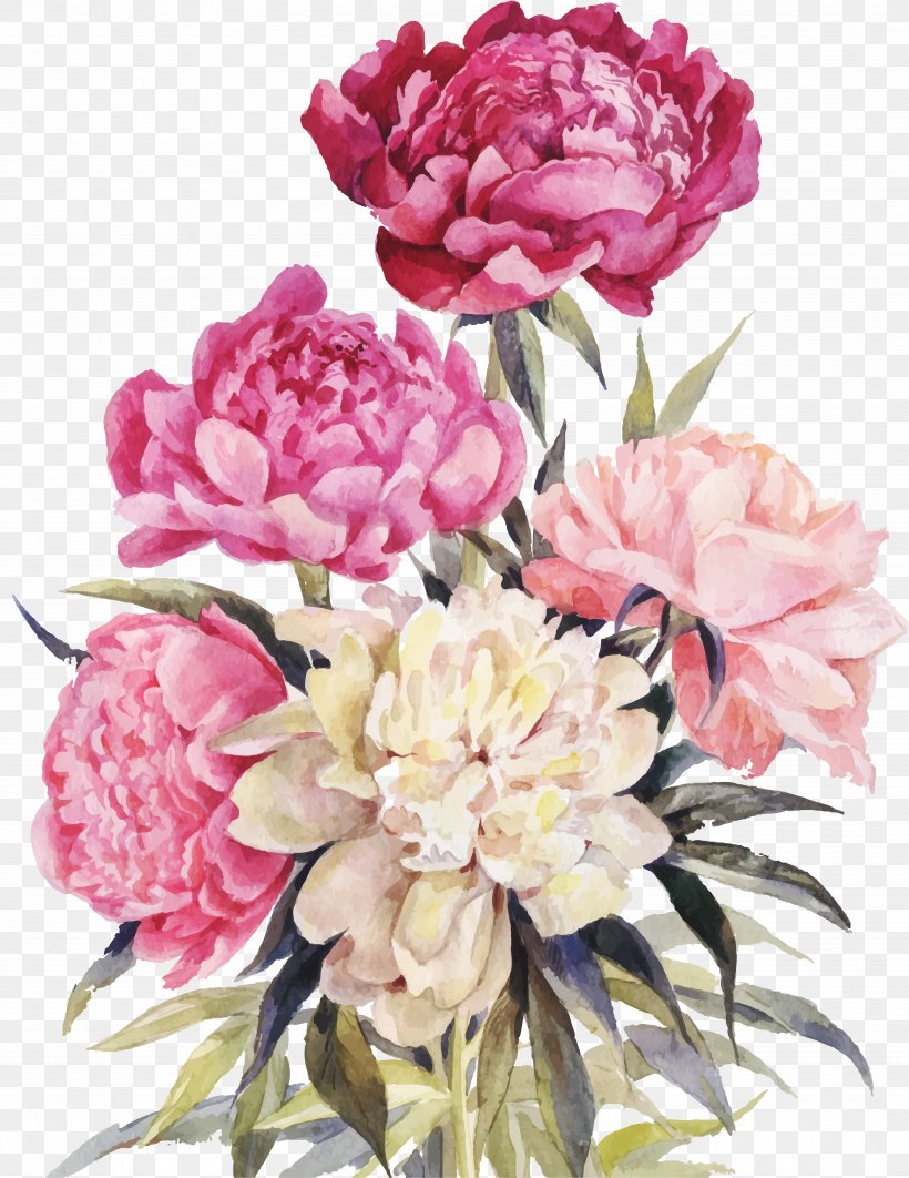 Peony Drawing Watercolor Painting Clip Art, PNG, 6762x8764px, Peony, Artificial Flower, Carnation, Cut Flowers, Drawing Download Free