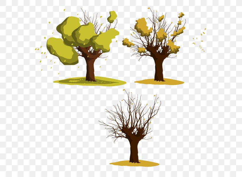 Wattles Tree Euclidean Vector, PNG, 600x600px, Wattles, Acacieae, Bougainvillea, Branch, Flowerpot Download Free