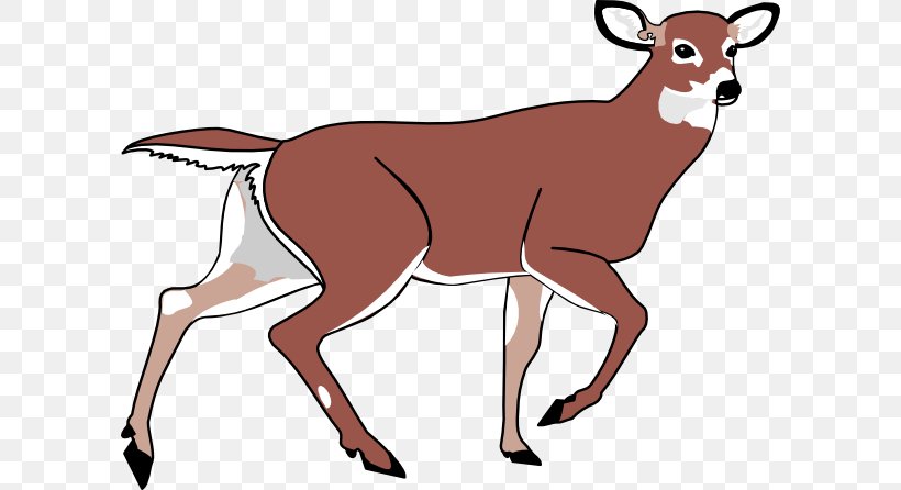 White-tailed Deer Clip Art, PNG, 600x446px, Deer, Animation, Antelope, Antler, Cow Goat Family Download Free