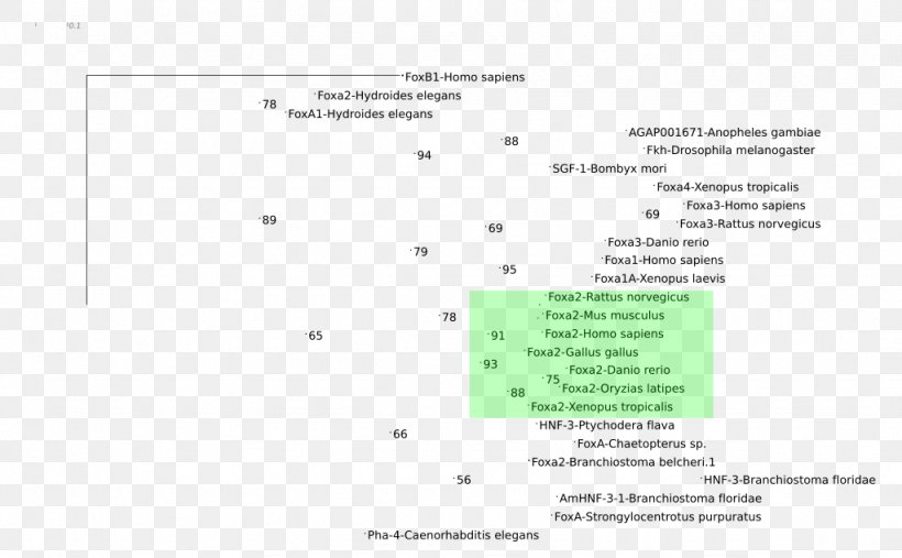 Document Brand Line, PNG, 1024x634px, Document, Area, Brand, Diagram, Green Download Free