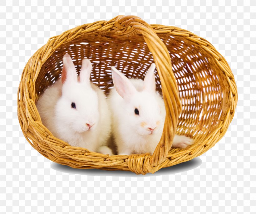 Easter Bunny Rabbit Download, PNG, 1280x1072px, Easter Bunny, Basket, Domestic Rabbit, Downloadcom, Hamper Download Free
