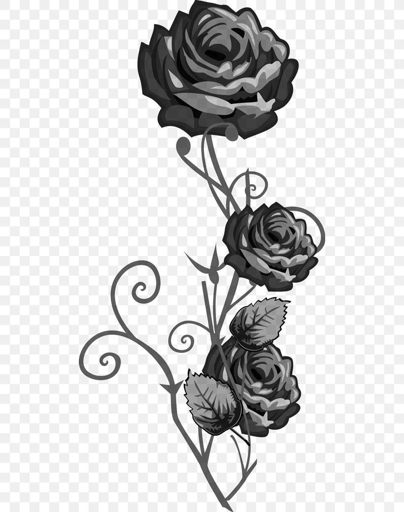Garden Roses Black And White Visual Arts Flower, PNG, 500x1040px, Garden Roses, Art, Black, Black And White, Cut Flowers Download Free
