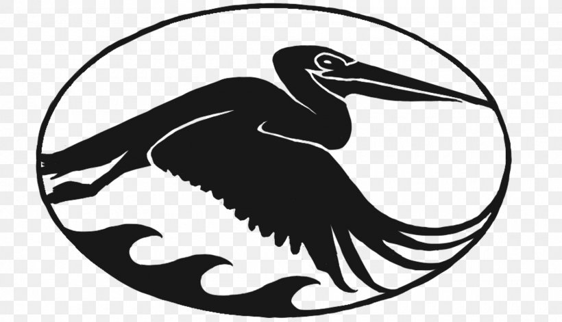 Health Insurance Insurance Agent Bird Beak, PNG, 1920x1105px, Insurance, Beak, Bird, Black And White, Cygnini Download Free
