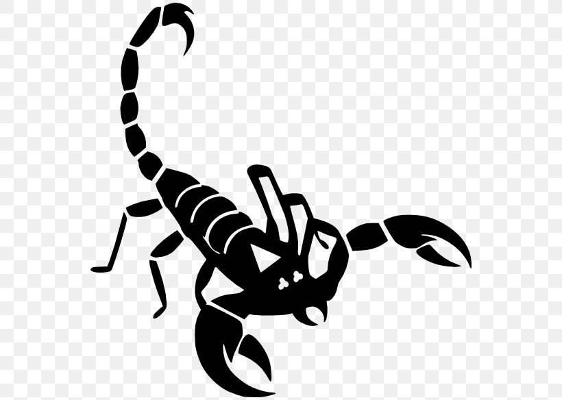 Scorpion Clip Art, PNG, 564x584px, Scorpion, Arachnid, Arthropod ...