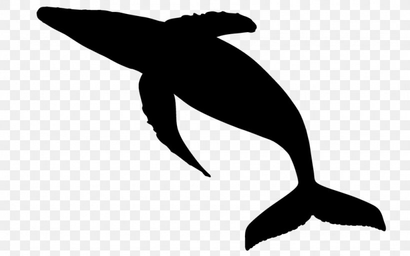 Tucuxi Dolphin Fauna Clip Art Beak, PNG, 1024x639px, Tucuxi, Beak, Bird, Bottlenose Dolphin, Cetacea Download Free