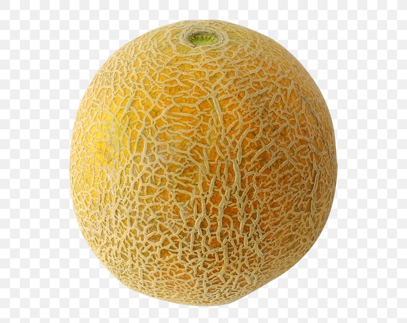 Honeydew Cantaloupe Galia Melon Merqueo Poef, PNG, 674x650px, Honeydew, Cantaloupe, Cash, Credit Card, Cucumber Gourd And Melon Family Download Free