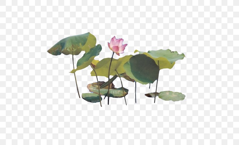 Nelumbo Nucifera Chinese Painting Ink Wash Painting, PNG, 500x500px, 3d Modeling, Nelumbo Nucifera, Chinese Garden, Chinese Painting, Flower Download Free