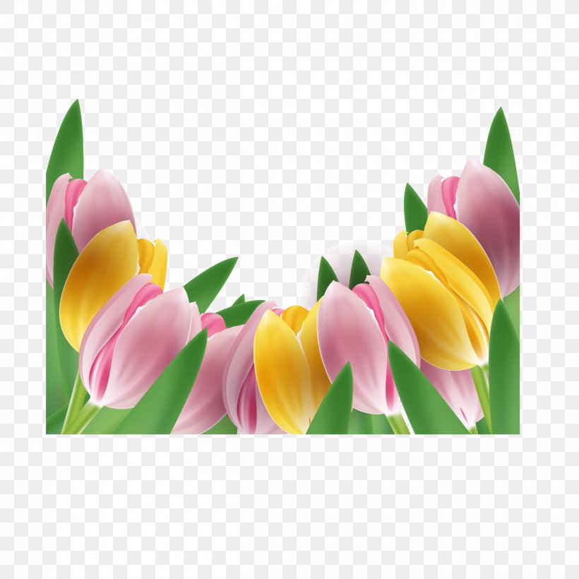 Tulip Flower Floral Design, PNG, 2500x2500px, Tulip, Floral Design, Floristry, Flower, Flower Arranging Download Free