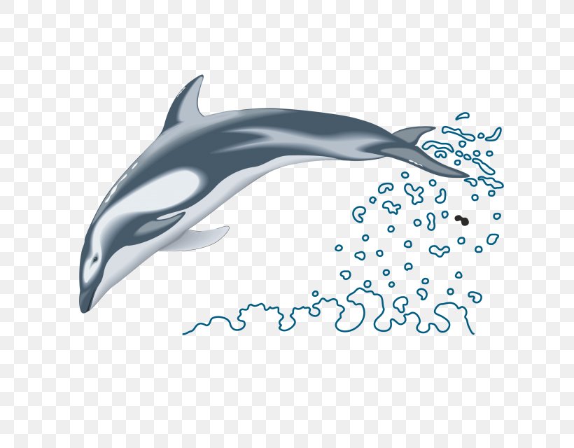 Common Bottlenose Dolphin Clip Art, PNG, 640x640px, Common Bottlenose Dolphin, Automotive Design, Bottlenose Dolphin, Dolphin, Drawing Download Free